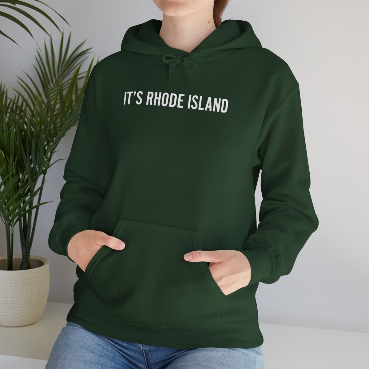 Rhode Island Pride Hoodie, Cozy Sweatshirt, Unisex
